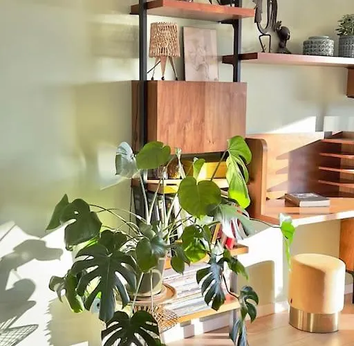 De Charme Vue Lägenhet